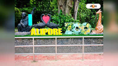Kolkata Alipore Zoo : ফটোগ্রাফি-কুইজ, আঁকা প্রতিযোগিতা! বন্যপ্রাণী সংরক্ষণ নিয়ে জমজমাট অনুষ্ঠান আলিপুর চিড়িয়াখানায়