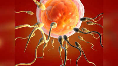 Fertility: ఈ 5 ఆహారాలు తింటే.. స్పెర్మ్‌ కౌంట్‌ పడిపోతుంది..!
