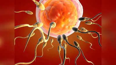 Fertility: ఈ 5 ఆహారాలు తింటే.. స్పెర్మ్‌ కౌంట్‌ పడిపోతుంది..! 