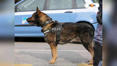 Police Sniffer Dogs : ভাড়ায় নেবেন নাকি পুলিশ-স্নিফার ডগ? মিলছে কেরালায়