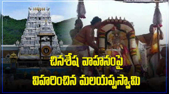 చినశేష వాహనంపై విహరించిన మలయప్పస్వామి