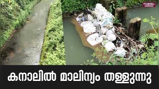 Anchal Panchayat: കനാലിലേക്ക് മാലിന്യം തള്ളുന്നു: പകർച്ചവ്യാധി ഭീഷണിയിൽ പ്രദേശവാസികൾ