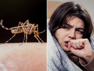 Dengue New Variant: ડેન્ગ્યુ વાયરસનો નવો સ્ટ્રેન છે વધુ આક્રમક અને જોખમી, જાણો લક્ષણોમાં શું છે બદલાવ અને ઇલાજ 