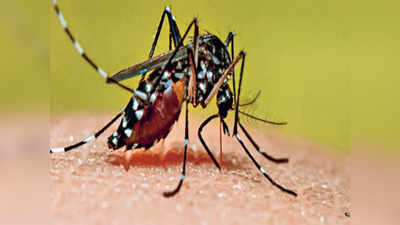 NDRF के जवान की डेंगू से मौत, गाजियाबाद में अब तक 4 की गई जान...लापरवही से बचें, सावधानी बरतें