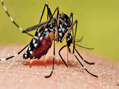 NDRF के जवान की डेंगू से मौत, गाजियाबाद में अब तक 4 की गई जान...लापरवही से बचें, सावधानी बरतें