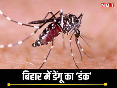 बिहार में डरा रहा डेंगू, एक दिन आए सबसे ज्यादा 333 नए केस, जानिए- कहां कितने मामले