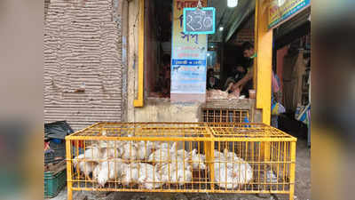 Kolkata Market Price: রেকর্ড দামে বিক্রি হচ্ছে চিকেন! মাংস কিনতে খরচ হবে কত?