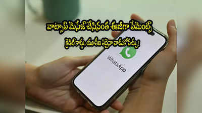 WhatsApp: వాట్సాప్ అదిరే గుడ్‌న్యూస్.. ఇక చాట్‌లోనే పేమెంట్స్.. యూపీఐ, క్రెడిట్ కార్డు చెల్లింపులూ చేయొచ్చు! 