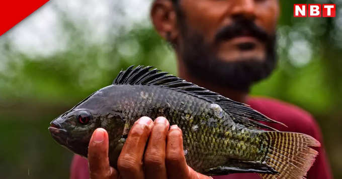 क्या करें, क्या ना करें