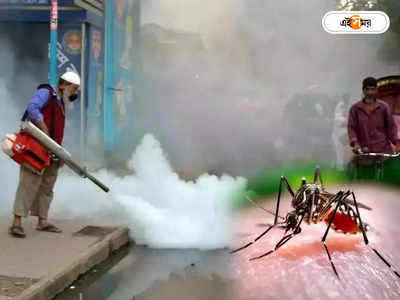 Dengue Fever : ঘরে ঘরে জ্বর, ডেঙ্গি-আতঙ্ক ভাঙড়ে