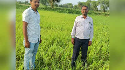 30 साल बाद फिर से हमीरपुर समेत बुंदेलखंड के खेतों में लहलहाएंगीं श्रीअन्‍न की फसलें, किसानों के चेहरे खिले