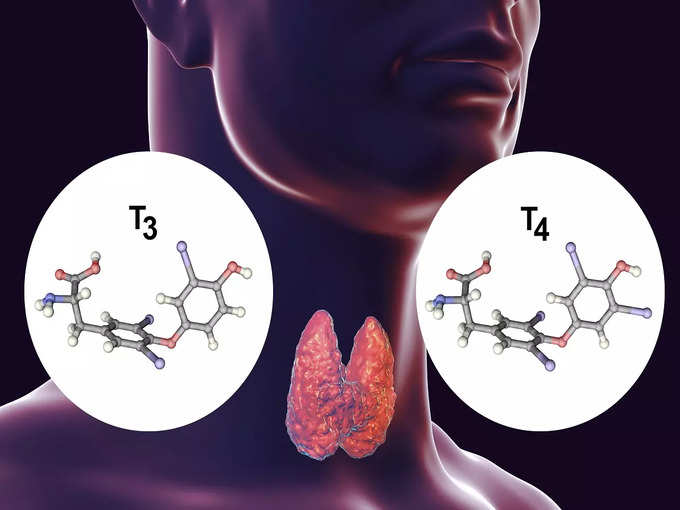 ​பெண்களில் Thyroid-Stimulating Hormone ஏன் அவசியமானது?​