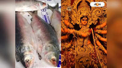 Padma Hilsa Fish Kolkata: পুজোর আগে বাঙালির পাতে পদ্মার ইলিশ! বোঝাই রুপোলি শস্য নিয়ে ঢুকল ট্রাক