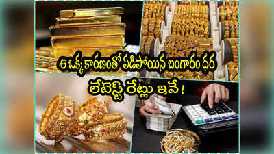 Gold Rate: ఆ ఒక్క కారణంతో పడిపోయిన బంగారం.. ఇప్పుడు కొనాలా, వద్దా? నిపుణులు ఏమంటున్నారు? 