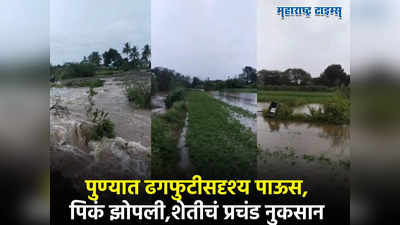 Pune Rain : पुण्यातील काठापूरमध्ये आभाळ फाटलं, तीन तास ढगफुटीसदृश्य पाऊस, उभी पिके भुईसपाट,शेतकरी म्हणतात...