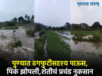 Pune Rain : पुण्यातील काठापूरमध्ये आभाळ फाटलं, तीन तास ढगफुटीसदृश्य पाऊस, उभी पिके भुईसपाट,शेतकरी म्हणतात...