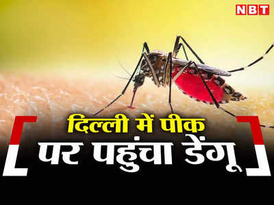 राजधानी में बढ़ा खतरा! पीक पर पहुंचे डेंगू को लेकर एक्सपर्ट ने जारी की चेतावनी