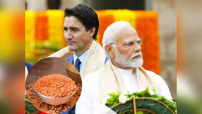 भारत-कॅनडा वादाची झळ तुमच्या-आमच्या किचनपर्यंत; बजेट बिघडणार; मसूरडाळ महागणार?