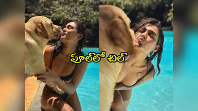 Shalini Pandey Bikini : బికినీలో షాలినీ అందాలు.. సన్నజాజిలా మారిన ముద్దుగుమ్మ.. ఫోటోలు వైరల్ 