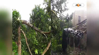 Tornado in West Bengal : হাবড়ায় টর্নেডো? কয়েক সেকেন্ডের ঝড়ে লণ্ডভণ্ড গোটা গ্রাম, আতঙ্কে বাসিন্দারা