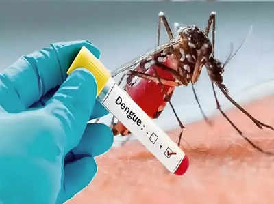 उत्तराखंड में अब तक 2049 डेंगू के मरीज मिले, 14 मौतें हुई, पौड़ी गढ़वाल में सबसे ज्यादा मरीज