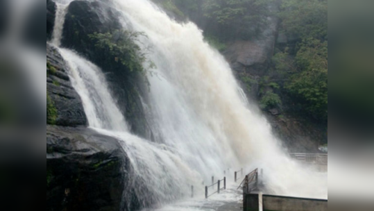 அருவிகளில் ஆர்ப்பரித்துக் கொட்டும் வெள்ளம்; திண்டுக்கல் கொடைக்கானலில் குளுகுளு சீசன்!