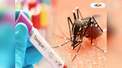 Dengue in Kolkata : কলকাতায় ফের ডেঙ্গি আক্রান্তের মৃত্যু, সাত দিন জ্বরে ভুগে প্রাণ হারাল কিশোরী