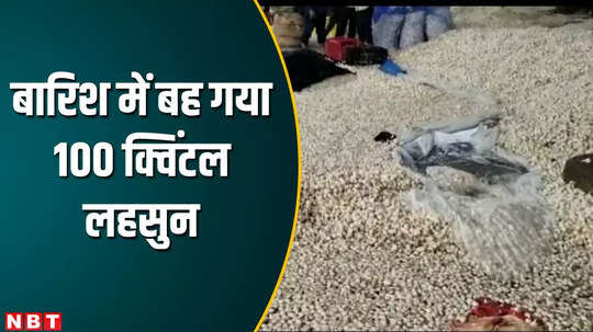 mandsaur vegetable market garlic worth rs 7 lakh got washed away in water