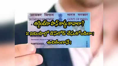 PAN Card: పాన్ కార్డు కావాలా? ఇలా ఫ్రీగా 2 నిమిషాల్లోనే డౌన్‌లోడ్ చేసుకోండి.. ఆధార్ ఉంటే చాలు!