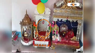 Radha Ashtami: রাধাষ্টমীর পুজো শেষ হতেই উধাও রাধাকৃষ্ণের মূর্তি, অশনি আশঙ্কা কৃষ্ণগঞ্জে!