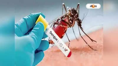 Dengue in Kolkata : ডেঙ্গির হটস্পট দমদম? ফের এক বৃদ্ধার মৃত্যু পুর এলাকায়