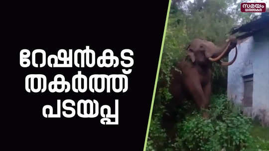 ration shop attackd by wild elephant padayappa in munnar