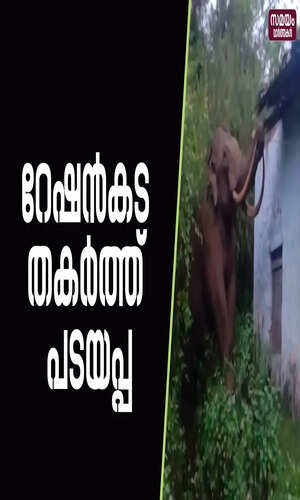 samayam/kerala-videos/idukki/ration-shop-attackd-by-wild-elephant-padayappa-in-munnar
