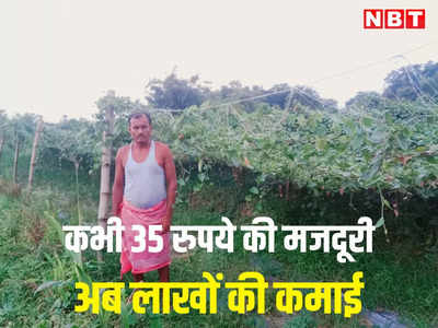 कभी पलायन कर नागालैंड जाने पर हर दिन मिलती थी 35 रुपये की मजदूरी, अब अपने गांव में सब्जी की खेती से लाखों की कमाई
