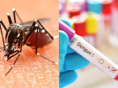 उत्तराखंड में डेंगू से हाहाकार, अब तक 2100 से ज्यादा लोग शिकार, देहरादून सबसे ज्यादा प्रभावित