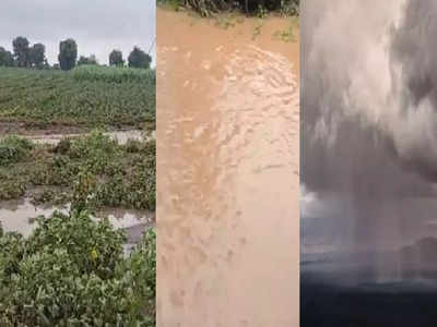 Buldhana News: बुलढाण्यात ढगफुटी, पाण्याचा प्रचंड लोंढा शेतात शिरला, गोठ्यातील मुकी जनावरं पाण्यात बुडाली