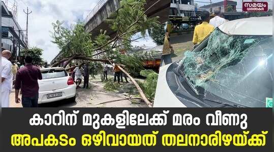 Tree Fallen On Car: കളമശ്ശേരിയിൽ നിർത്തിയിട്ട കാറിന് മുകളിൽ മരം വീണു
