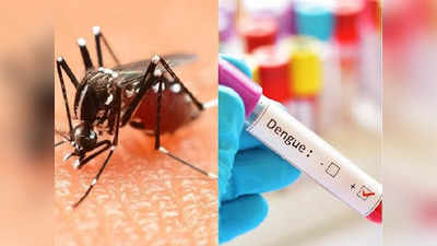 गोरखपुर में डेंगू का बढ़ता जा रहा डंक, नगर निगम और स्वास्थ्य महकमे ने कसी कमर