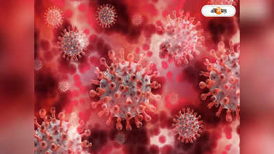 Disease X  Latest News : করোনার চেয়ে ২০ গুণ খতরনাক! এবার ডিজিজ এক্স মহামারী নিয়ে উদ্বেগে WHO