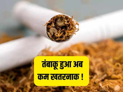 अब नहीं पड़ेगा आपकी हेल्थ पर असर, भारत में बन रहा ऐसा तंबाकू, 50 पर्सेंट कम है निकोटीन