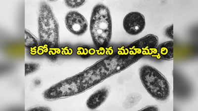 Disease X: ప్రపంచాన్ని భయపెడుతున్న డిసీజ్ ఎక్స్.. 5 కోట్ల మంది చనిపోవచ్చన్న నిపుణులు