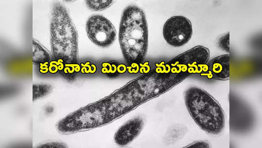 Disease X: ప్రపంచాన్ని భయపెడుతున్న డిసీజ్ ఎక్స్.. 5 కోట్ల మంది చనిపోవచ్చన్న నిపుణులు 
