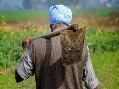 शेतकरी आत्महत्यांचा विसर