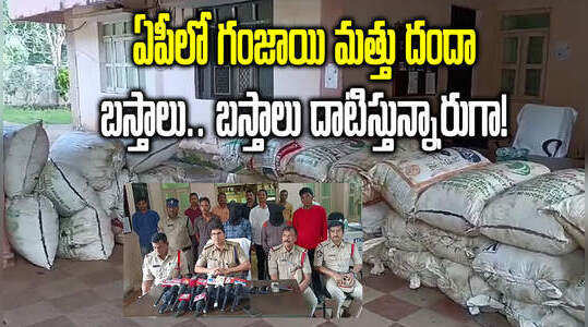 అల్లూరి జిల్లాలో భారీగా గంజాయి పట్టివేత