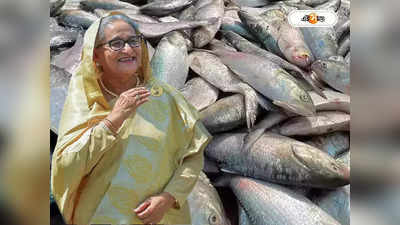 Hilsa Fish Price : ইলিশ আমদানির সময় ২২ দিন বাড়ানোর আবেদন, কী করবেন হাসিনা?