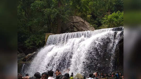 தேனி: சுருளி அருவியில் கோலாகலமாக துவங்கிய சாரல் திருவிழா!