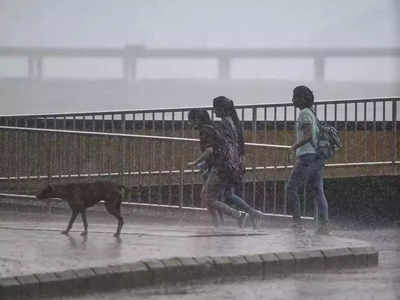 Maharashtra Rain Alert: गडगडाटासह पाऊससरी; मुंबईसह ३ जिल्ह्यांना यलो तर कुठे ऑरेंज अलर्ट? वाचा वेदर रिपोर्ट
