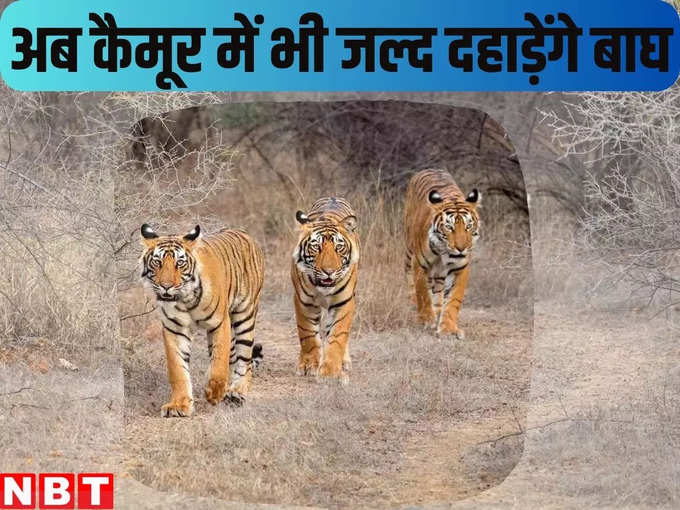 bihar news