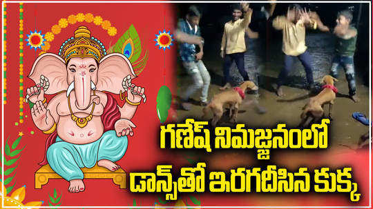 watch video dog dance in ganesh immersion in parvathi manyam district