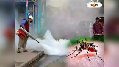 Dengue Situation In Kolkata : রাজ্যে ডেঙ্গির মৃত্যুমিছিল অব্যাহত, বাঁচতে একগুচ্ছ পরামর্শ সরকারের